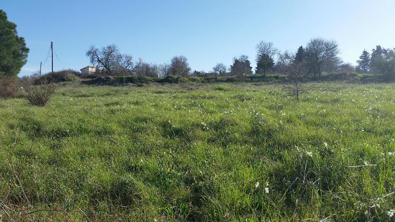 Akamas Health Farm & Spa Dhrousha Kültér fotó